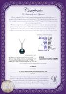 Product certificate: UK-TAH-B-AAA-1011-P-Ross