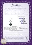 Product certificate: UK-TAH-B-AAA-1011-P-Yael