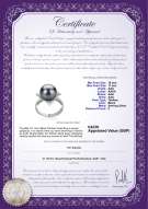 Product certificate: UK-TAH-B-AAA-1011-R-Billy