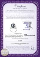 Product certificate: UK-TAH-B-AAA-1011-R-Maddie