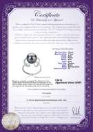 Product certificate: UK-TAH-B-AAA-1011-R-Sheila