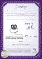 Product certificate: UK-TAH-B-AAA-1011-R-Tindra