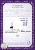 Product certificate: UK-TAH-B-AAA-1112-P-Teardrop