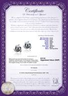 Product certificate: UK-TAH-B-AAA-89-E-Eva