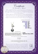 Product certificate: UK-TAH-B-AAA-89-P-Cora