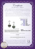 product certificate: UK-TAH-B-AAA-910-E-Assina
