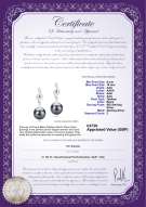 Product certificate: UK-TAH-B-AAA-910-E-Cheryl