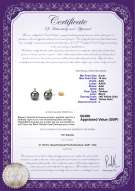 Product certificate: UK-TAH-B-AAA-910-E-Eternity-YG-L