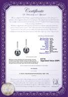 product certificate: UK-TAH-B-AAA-910-E-Janet