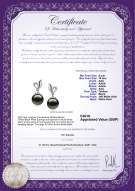 Product certificate: UK-TAH-B-AAA-910-E-Jeannie