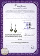 Product certificate: UK-TAH-B-AAA-910-E-Merry