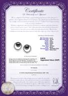 Product certificate: UK-TAH-B-AAA-910-E-RisingSun