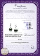 product certificate: UK-TAH-B-AAA-910-E-Seductive
