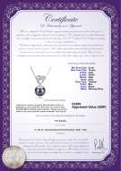 product certificate: UK-TAH-B-AAA-910-P-Adelina