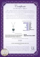 product certificate: UK-TAH-B-AAA-910-P-Taylor