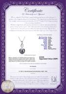 product certificate: UK-TAH-B-AAA-910-P-Valena