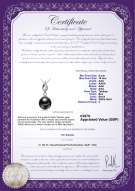 product certificate: UK-TAH-B-AAA-910-P-Vita