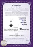 Product certificate: UK-TAH-B-AAA-910-P-Vita