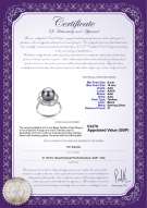 Product certificate: UK-TAH-B-AAA-910-R-Bobbie