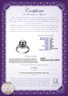 Product certificate: UK-TAH-B-AAA-910-R-Royisal