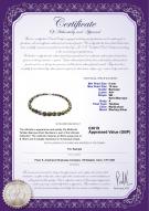 product certificate: UK-TAH-Multi-Bar-810-N-17