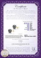 product certificate: UK-TE1PC11A-Y