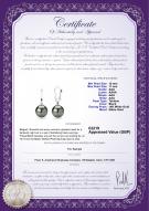 product certificate: UK-TLA1BL10A-W