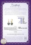product certificate: UK-TLB1PC10A-Y