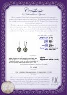 product certificate: UK-TLC1PC10A-W