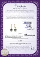 product certificate: UK-TLD1PC10A-Y