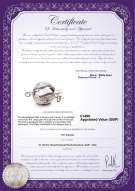 Product certificate: UK-W-14K-ball-dmd-clasp-brighton