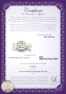 Product certificate: UK-W-14K-Clasp-DBL-Sussex