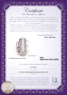 Product certificate: UK-W-14K-TRP-Clasp