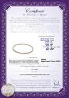 product certificate: UK-W-AA-657-N-Akoy