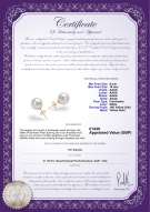 product certificate: UK-W-AAAA-910-E