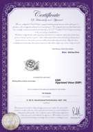 Product certificate: UK-W-Brass-DBL-Clasp-Lisbon