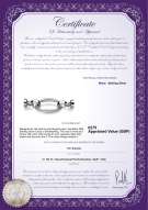 Product certificate: UK-W-SS-Ebba-Clasp