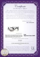 Product certificate: UK-W-SS-Matilda-Clasp