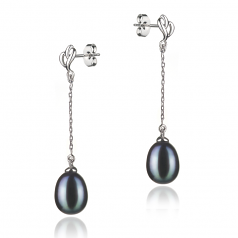 7-8mm AA Quality Freshwater Cultured Pearl Earring Pair in Reese Black