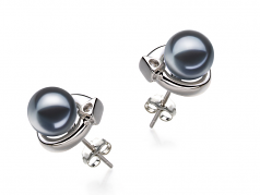 7-8mm AAAA Quality Freshwater Cultured Pearl Earring Pair in Angelina Black