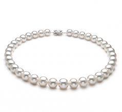 10-14mm AAA+ Quality South Sea Cultured Pearl Necklace in White