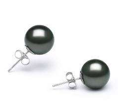 10-11mm AA Quality Tahitian Cultured Pearl Earring Pair in Black