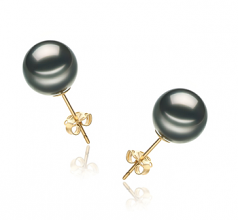 9-10mm AA Quality Tahitian Cultured Pearl Earring Pair in Black