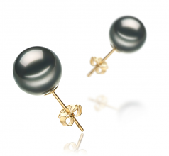 9-10mm AA Quality Tahitian Cultured Pearl Earring Pair in Black