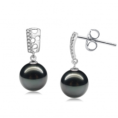 9-10mm AAA Quality Tahitian Cultured Pearl Earring Pair in Zuella Black