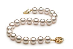 7.5-8mm AA Quality Japanese Akoya Cultured Pearl Bracelet in White