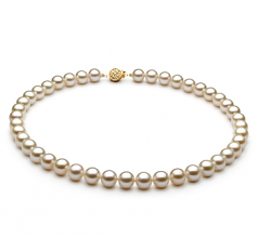 8-8.5mm AAAA Quality Freshwater Cultured Pearl Necklace in White