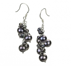 3-7mm A Quality Freshwater Cultured Pearl Earring Pair in Brisa Black