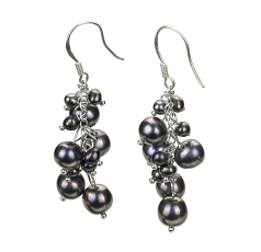 3-7mm A Quality Freshwater Cultured Pearl Earring Pair in Brisa Black
