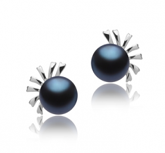 7-8mm AA Quality Freshwater Cultured Pearl Earring Pair in Marissa Black